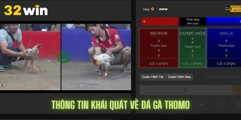 Khám phá một số thông tin khái quát về Thomo